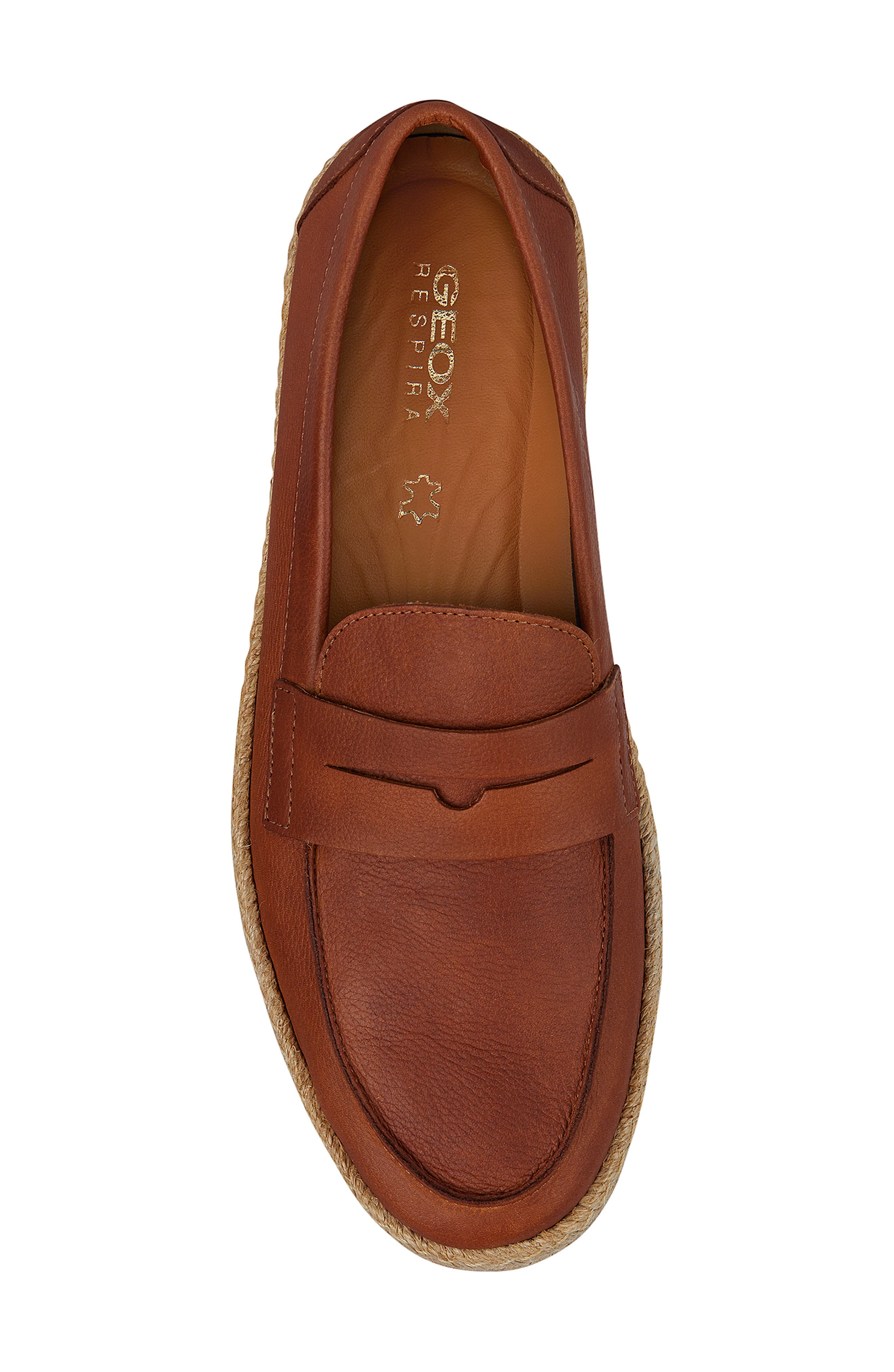 Geox Ostuni Penny Loafer, Alternate, color, 