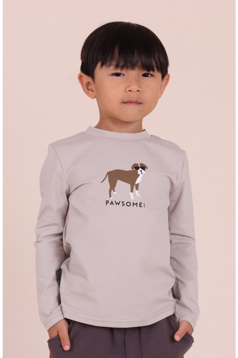 Kids' Pawsome Long Sleeve Graphic T-Shirt, Alternate, color, GREY
