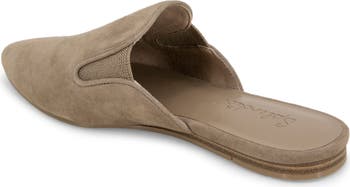Liza Pointed Toe Mule