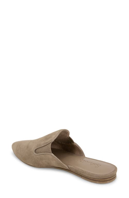 Splendid Liza Pointed Toe Mule In Neutral