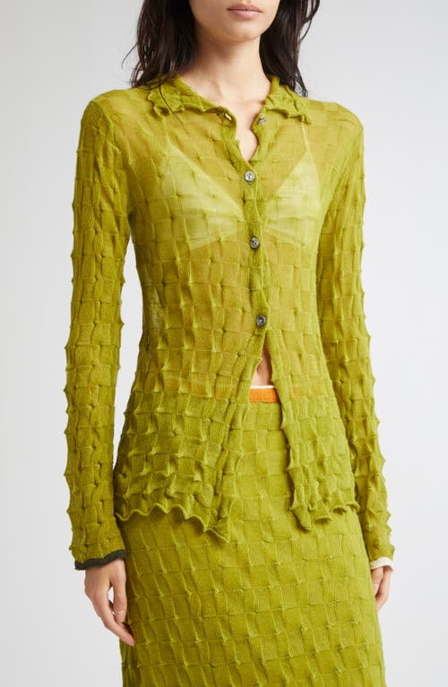 Yanyan Borlor Wool Cardigan In Green