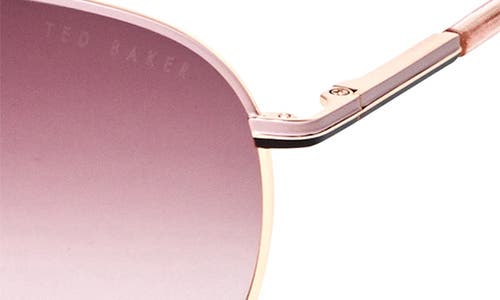 Ted Baker London 57mm Aviator Sunglasses In Rosegold