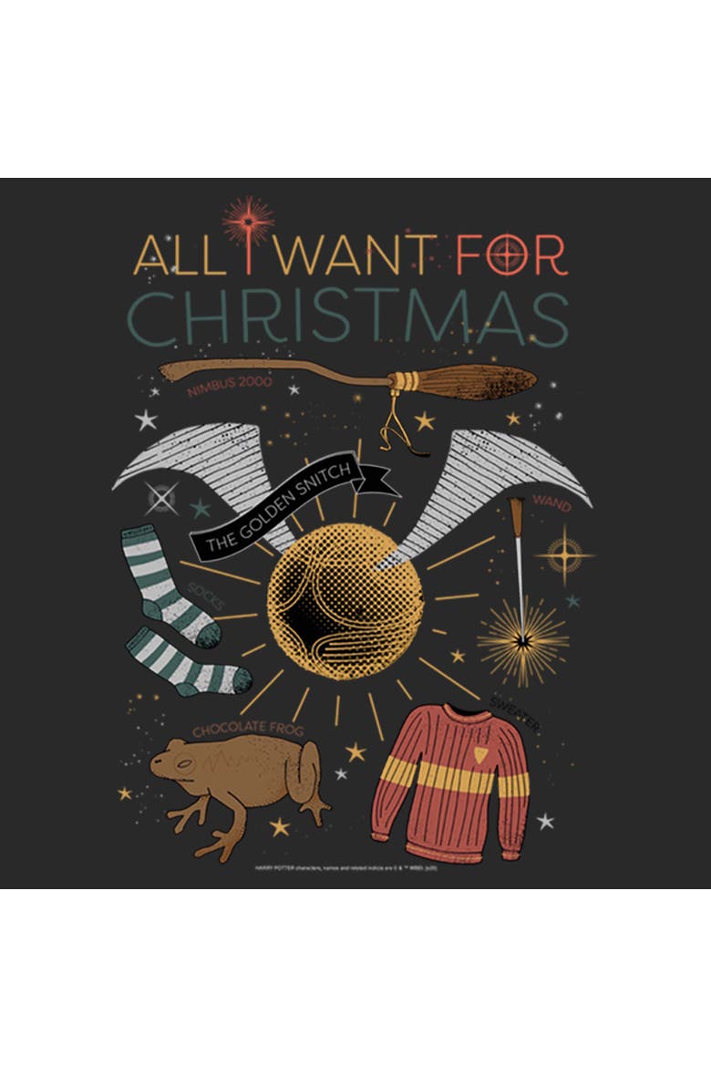 Women's Harry Potter All I Want for Wizard Christmas  Graphic T-Shirt, Alternate, color, Black