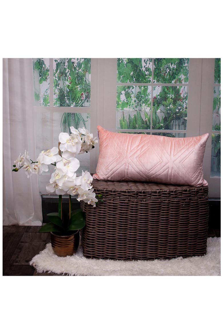 Reta Velvet Throw Pillow, Alternate, color, PINK