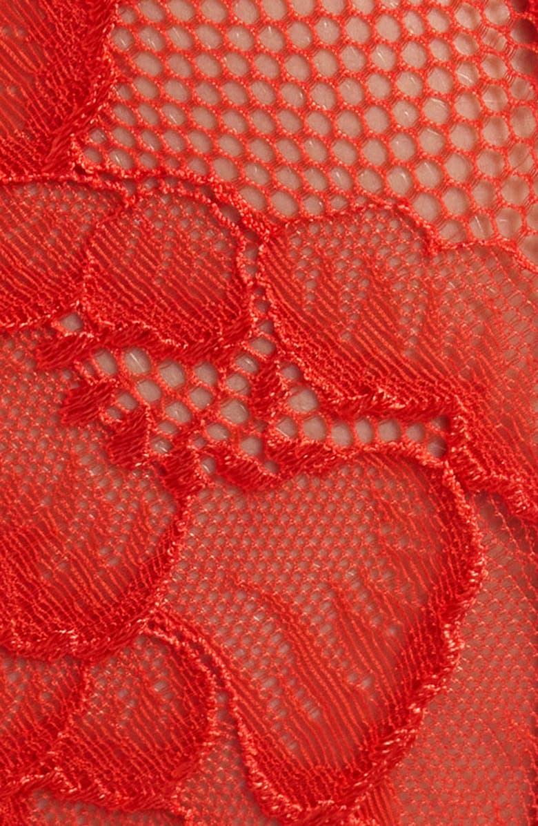 KILO BRAVA Floral Lace Briefs, Alternate, color, Tigerlily
