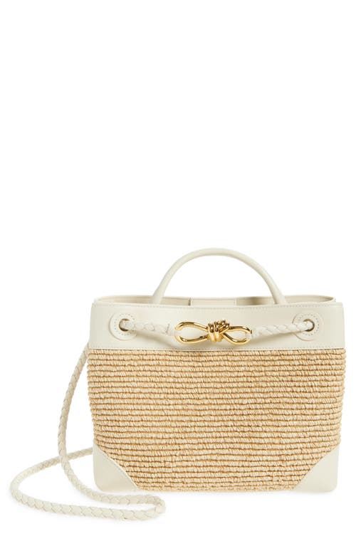 Bottega Veneta Small Andiamo Raffia & Leather Shoulder Bag in Natural/Sea Salt at Nordstrom