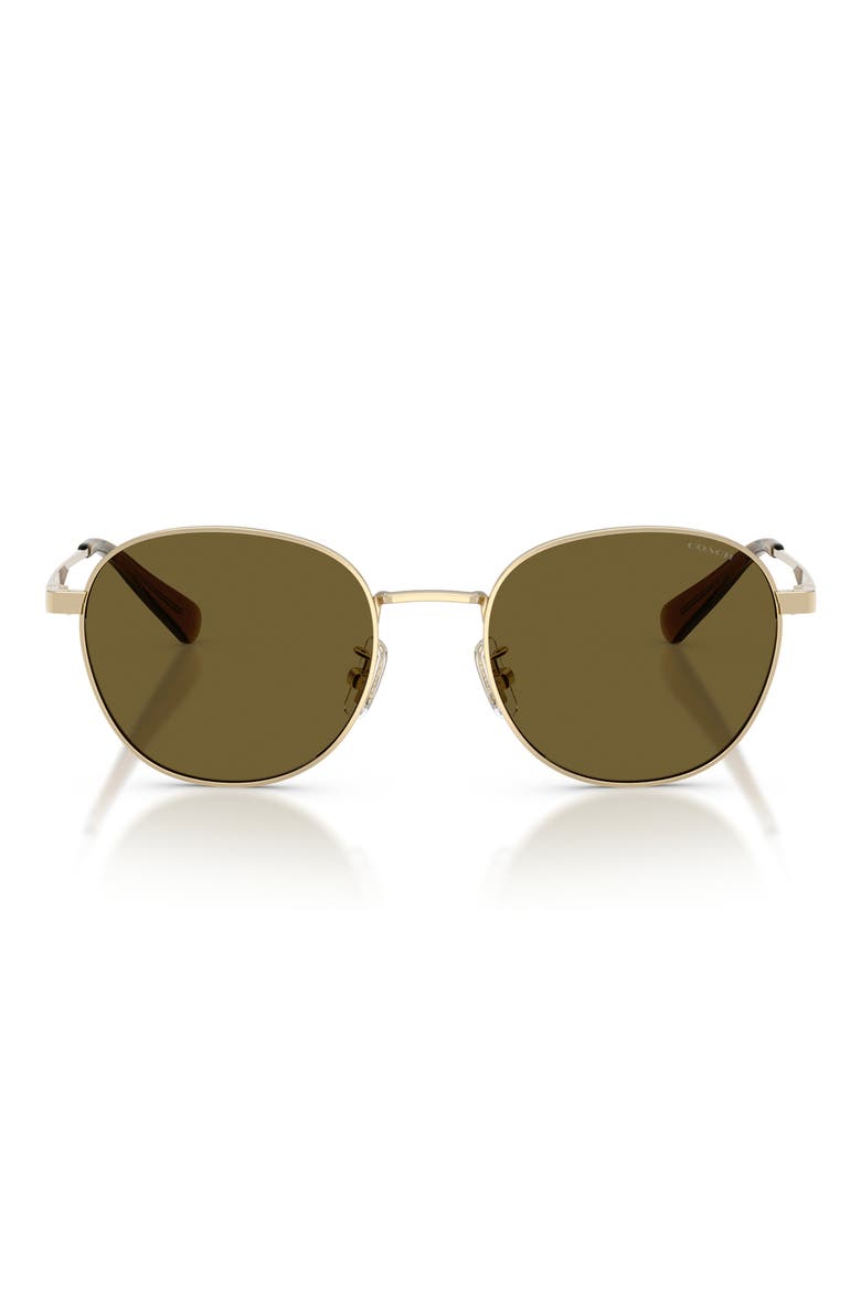 51mm Round Sunglasses, Main, color, SHINY LIGHT GOLD / OLIVE SOLID