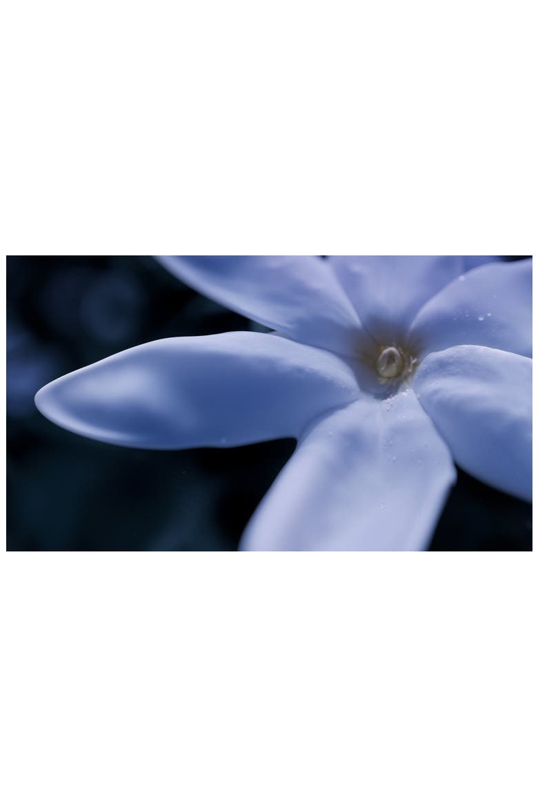 Blue Talisman Extrait de Parfum, Alternate, color, NO COLOR