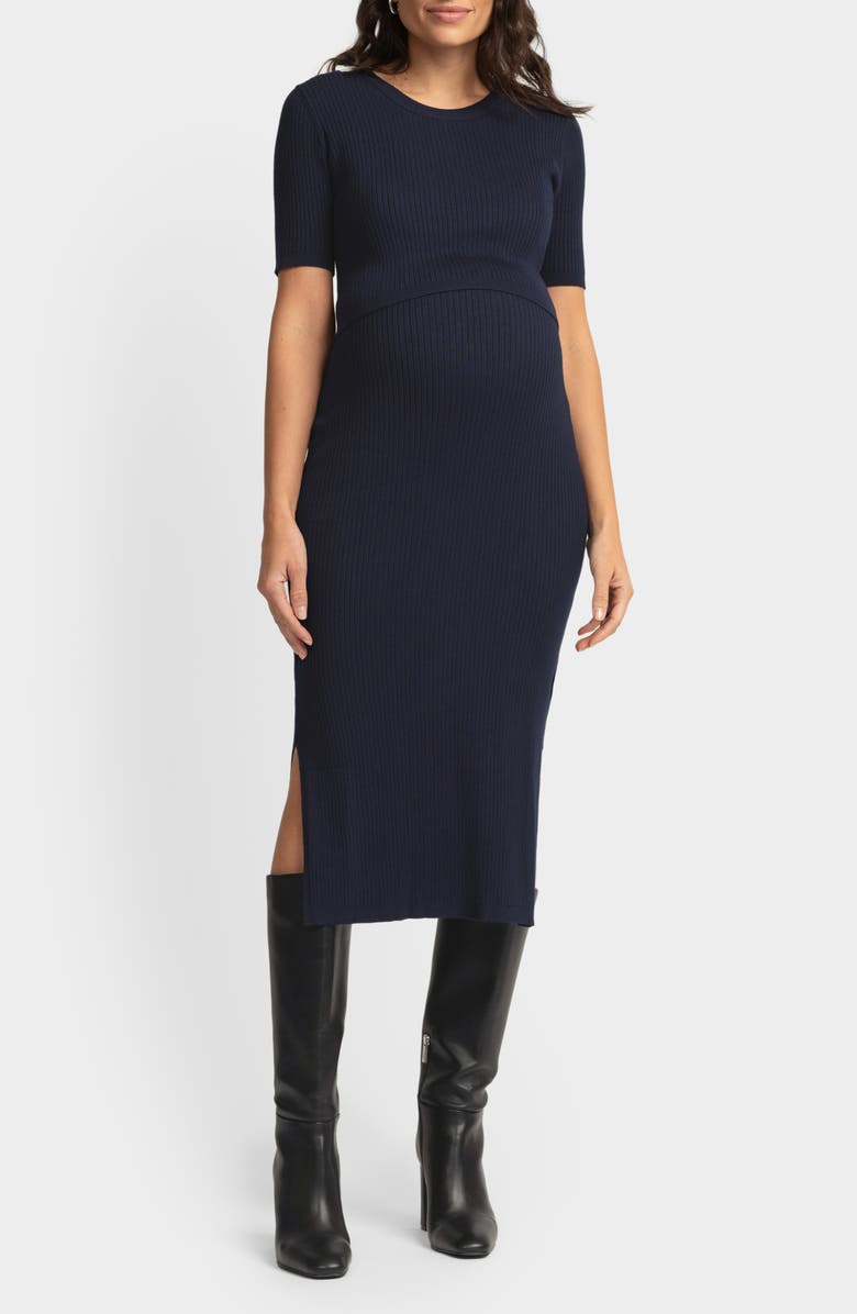 Seraphine Layered Maternity/Nursing Dress, Main, color, 