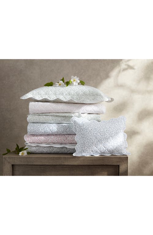 Matouk Celine 500 Thread Count Percale Fitted Sheet
