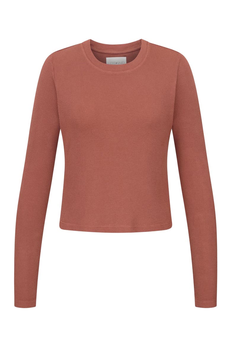 Organic Cotton Long Sleeve Crew, Alternate, color, Baked Clay
