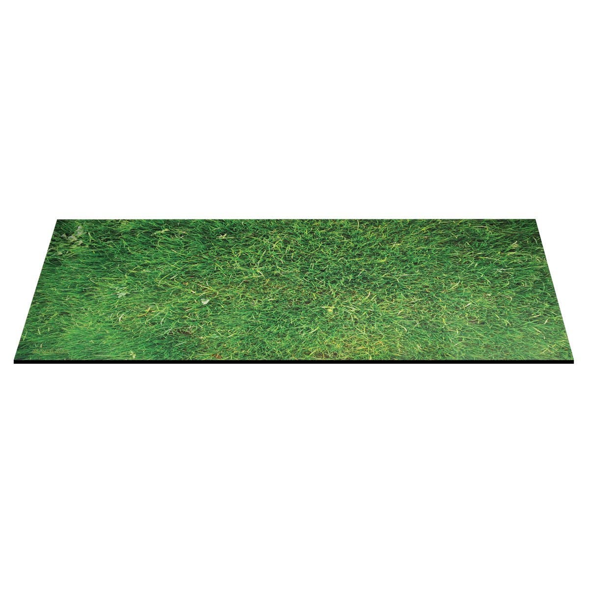 selected Grass