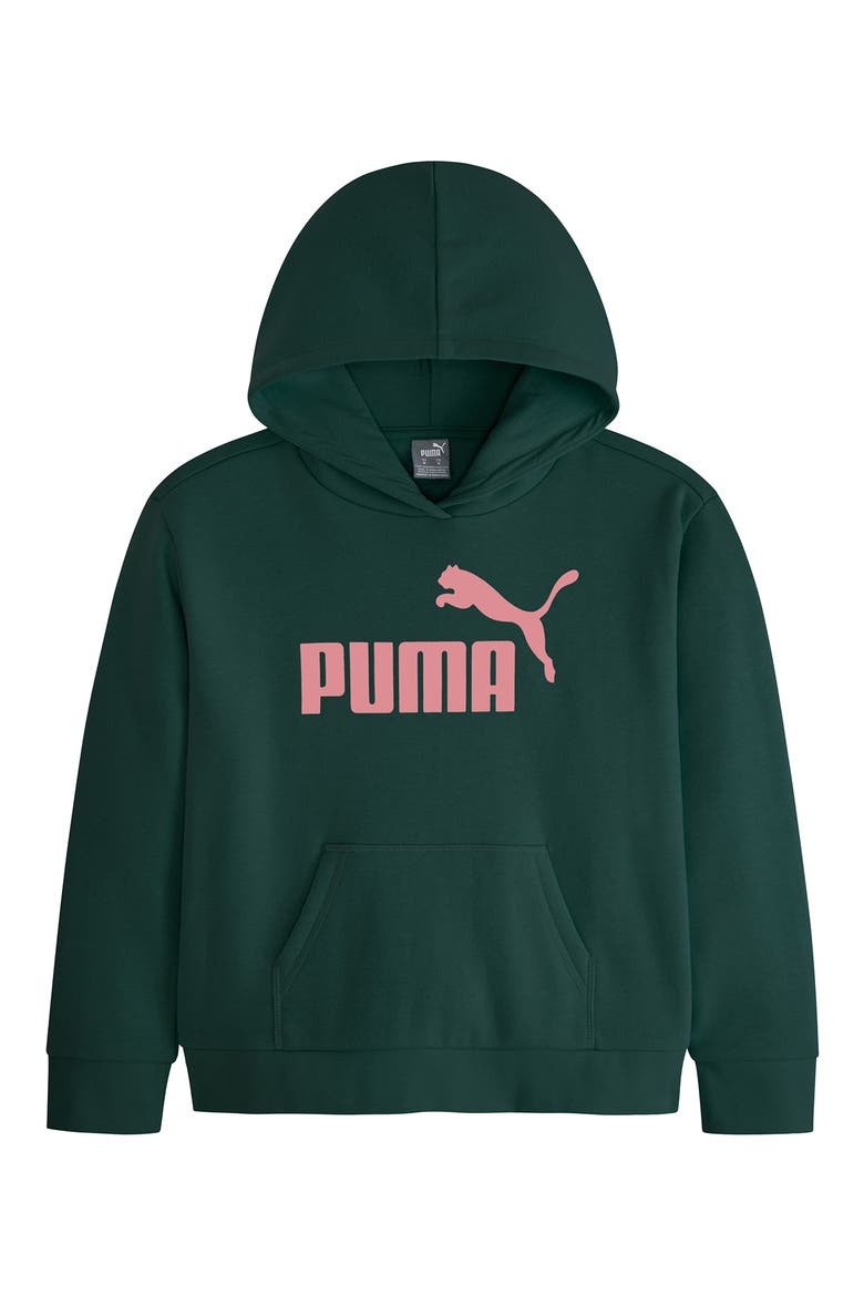 Kids' Logo Fleece Hoodie, Main, color, GREEN TERRAIN