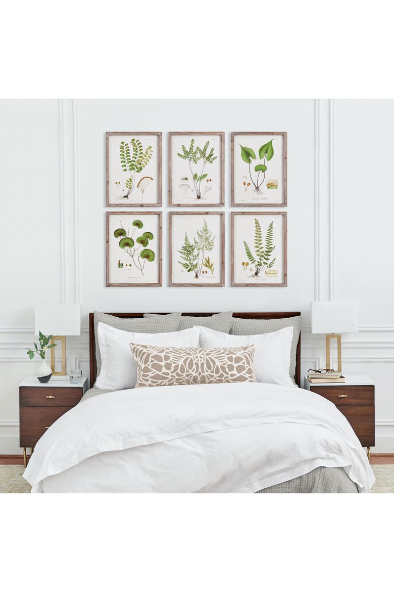Shade Garden Study, Set Of 6, Alternate, color, Green