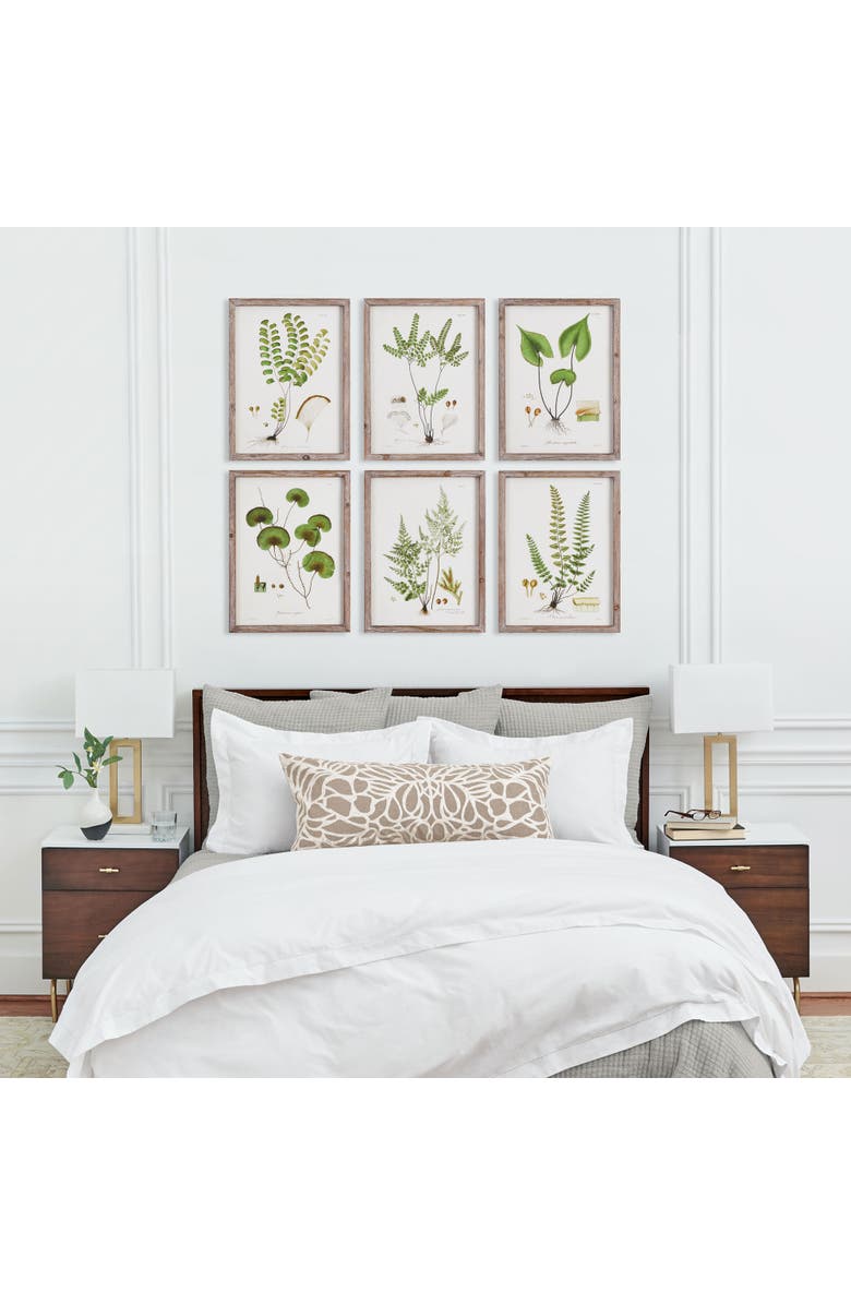 Napa Home & Garden Shade Garden Study, Set Of 6, Alternate, color, Green