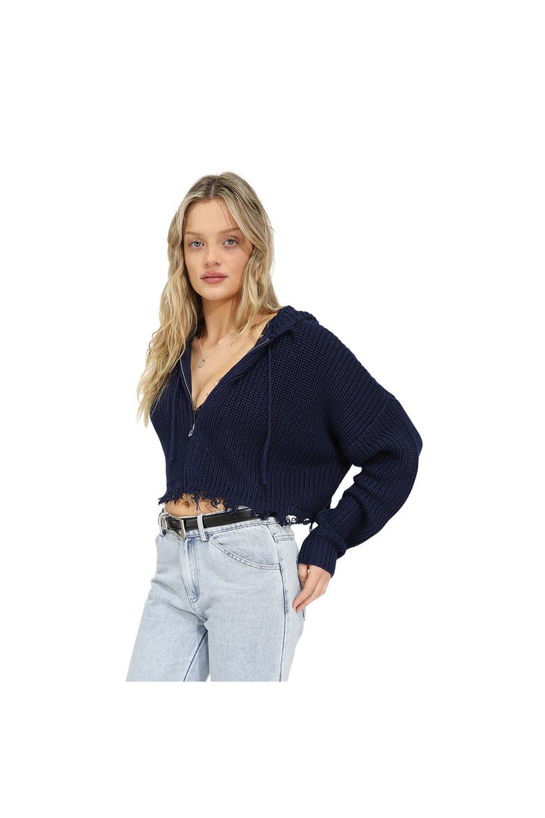 Another Love Fringe Zip Knit, Alternate, color, Blue