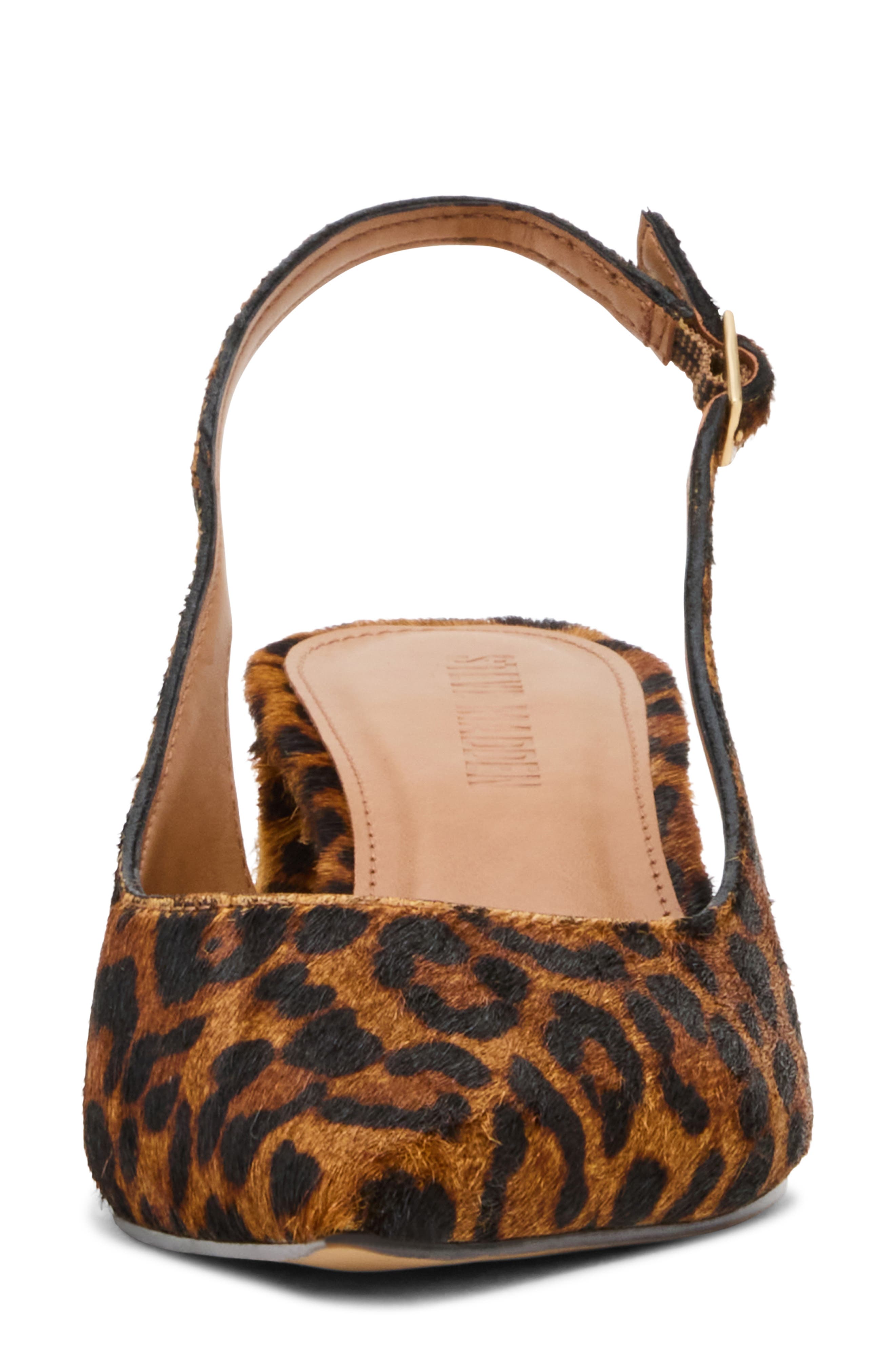 Steve Madden Robyn Pointed Toe Slingback Pump, Alternate, color, Leopard