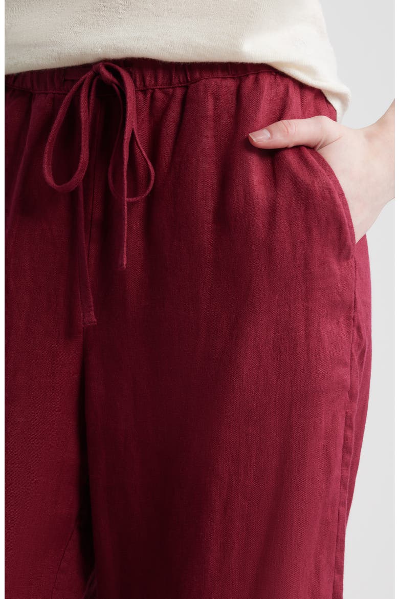 Emmie Embroidered Linen Drawstring Pants, Alternate, color, BERRY HIBISCUS EMBROIDERY
