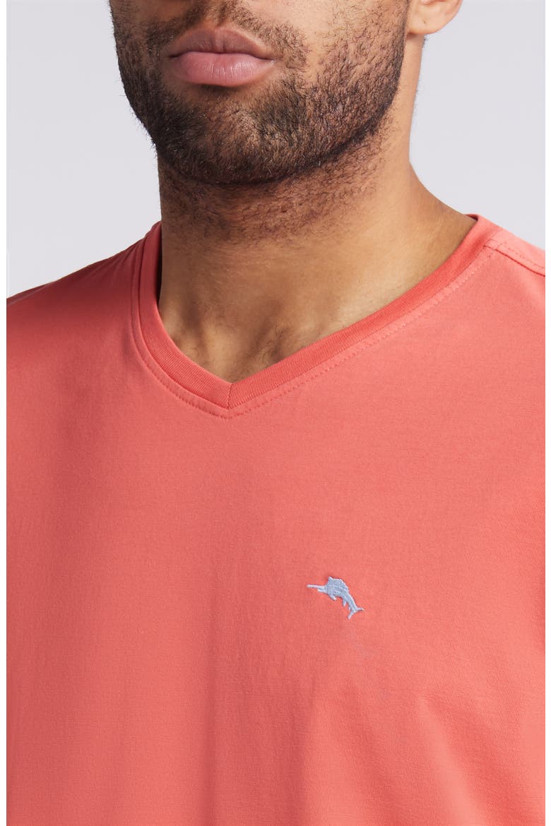 New Bali Skyline V-Neck T-Shirt, Alternate, color, DUBARRY CORAL