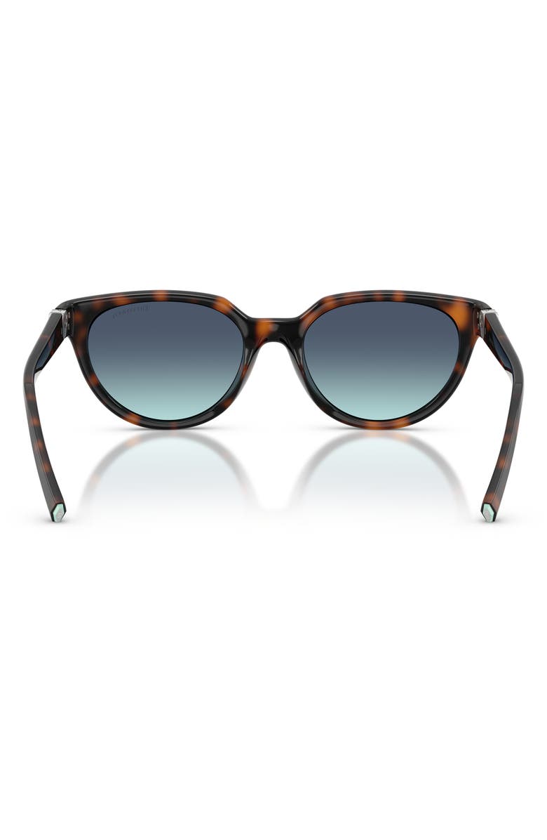 Tiffany & Co. 55mm Gradient Cat Eye Sunglasses, Alternate, color, Havana / Azure Gradient Blue