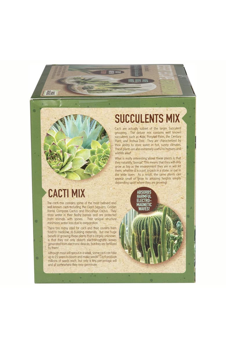 Unique Gardener Desert Escape Growarium Diy Cactus & Succulent Terrarium Kit, Alternate, color, Clear