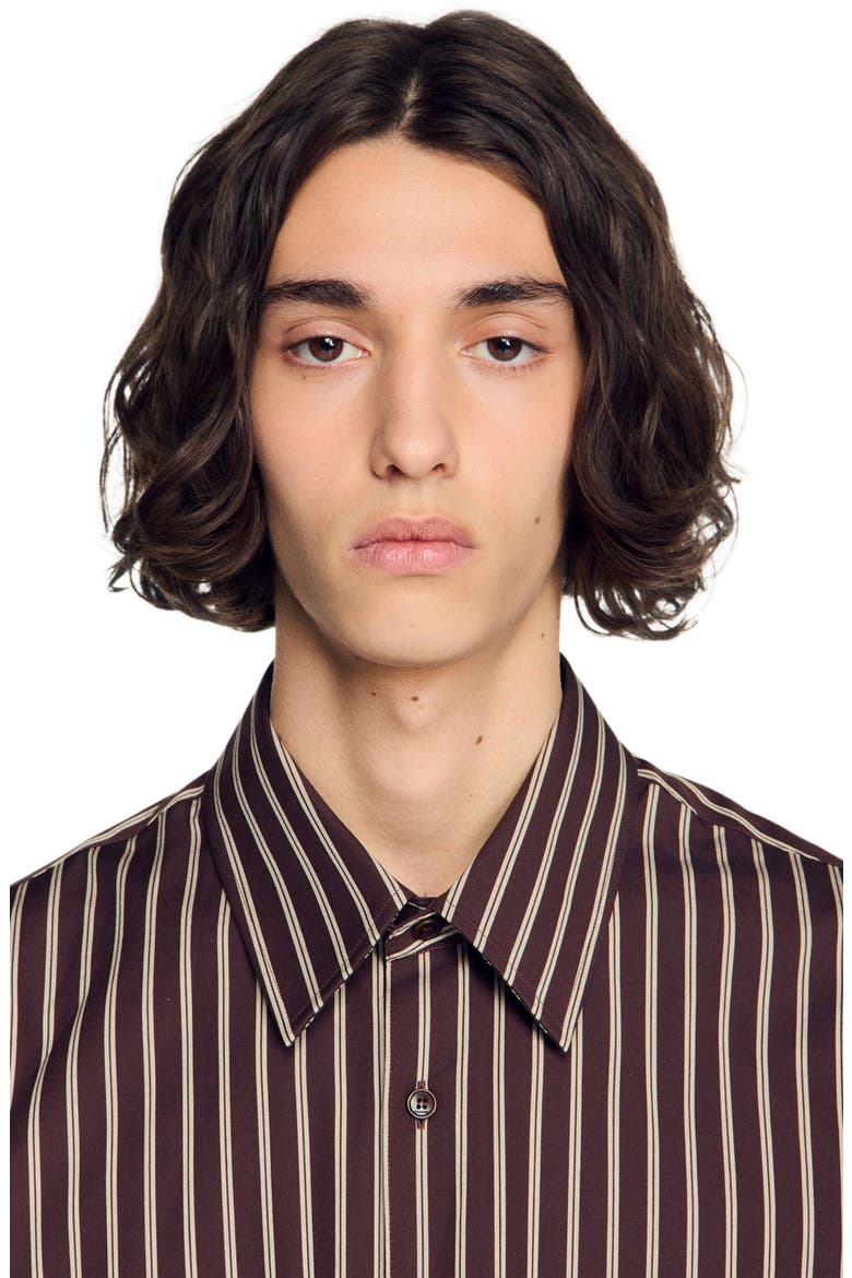 Striped cotton shirt, Alternate, color, Chocolat / ecru