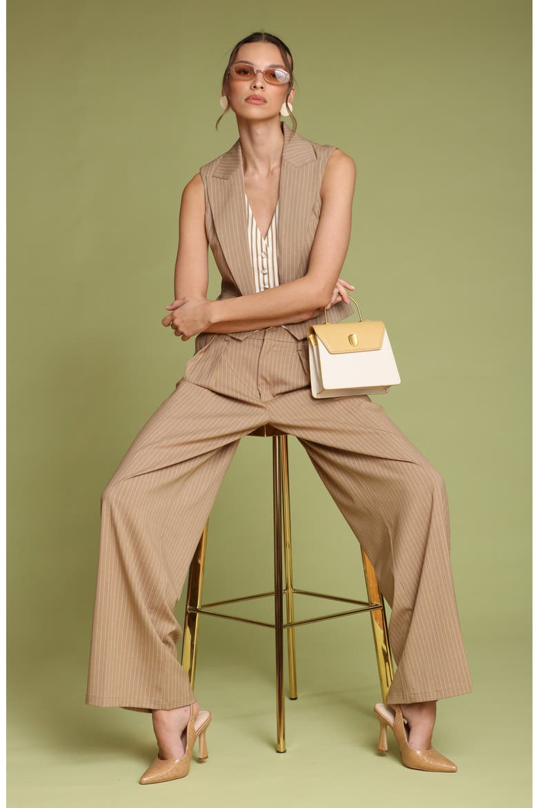 Pinstripe High Waist Wide Leg Pleat Front Pants, Alternate, color, CAMEL PINSTRIPE