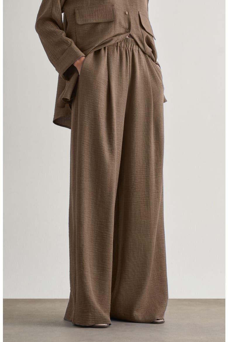Wide-Leg Pants, Alternate, color, Brown