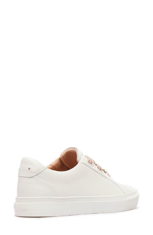 Frankie4 Mya Slip-on Sneaker In White
