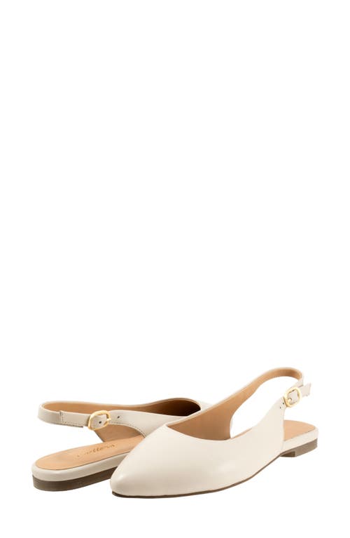 Trotters Evelyn Pointed Toe Slingback Flat In Ivory