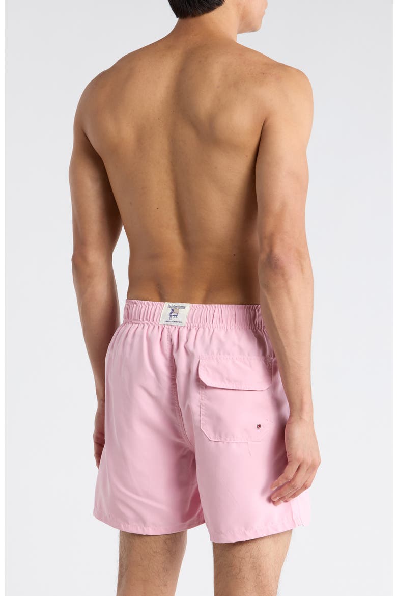 Endless Solid Volley Swim Trunks, Alternate, color, MAUVE