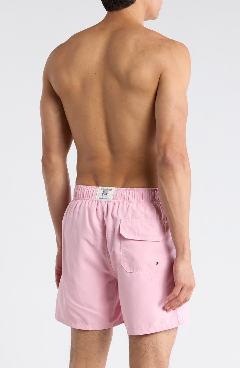 Vintage Summer Endless Solid Volley Swim Trunks, Alternate, color, Mauve