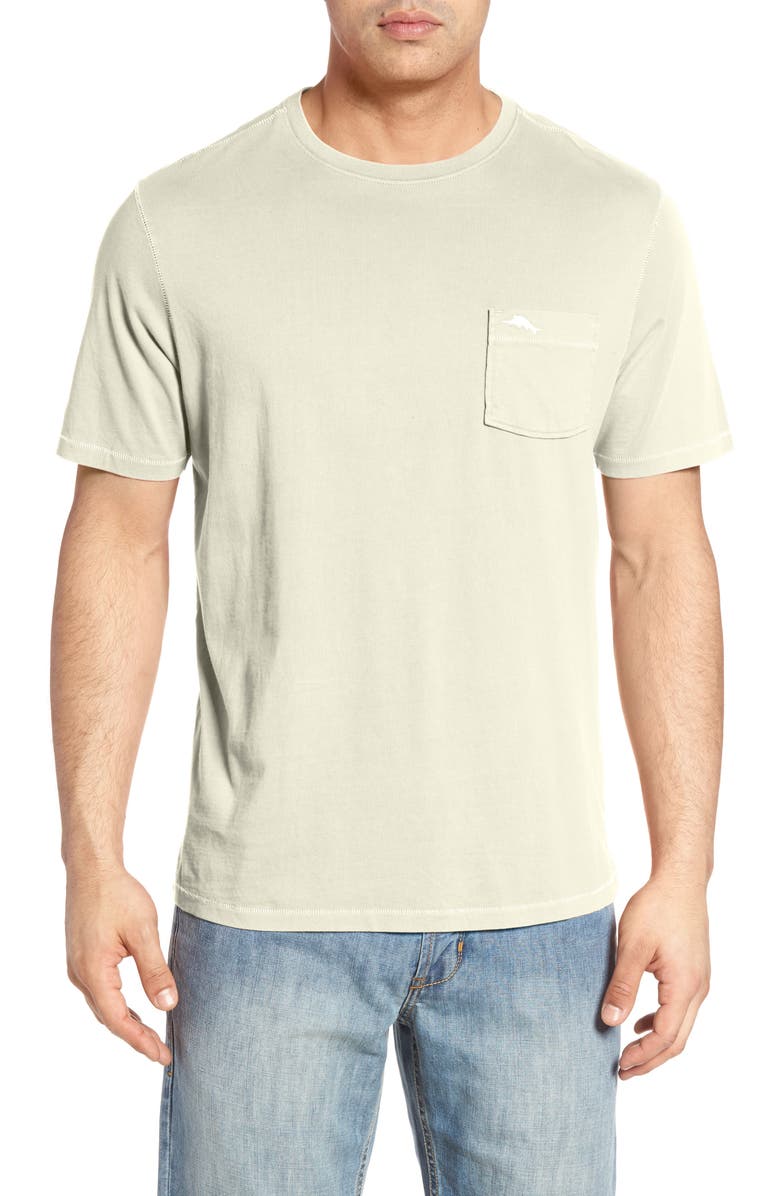 Tommy Bahama New Bahama Reef Pima Cotton T-Shirt, Main, color, 
