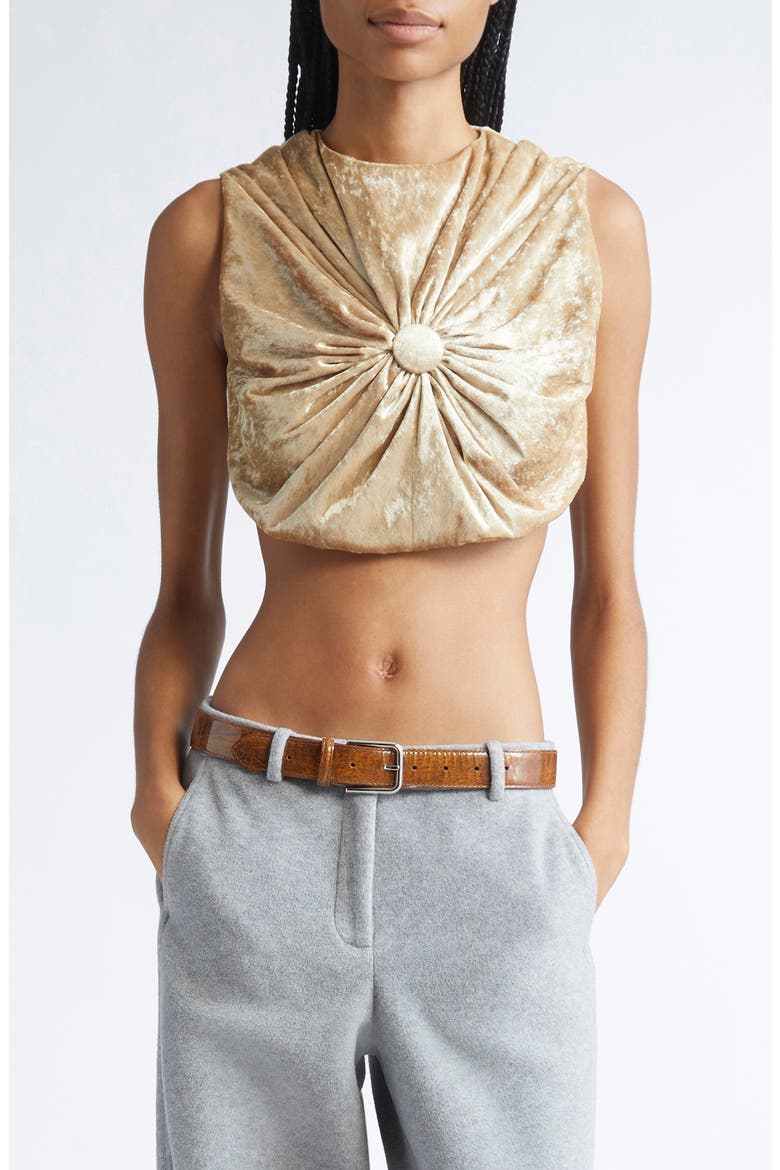 Tilda Velvet Cushion Crop Top, Main, color, GOLD