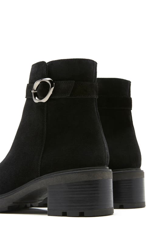 La Canadienne Avon Waterproof Buckle Boot In Black