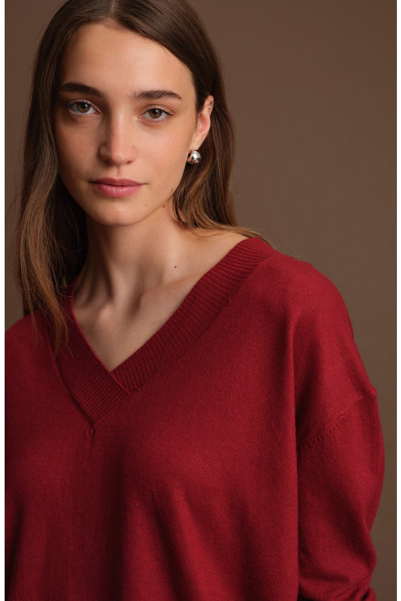 Betula V-Neck Sweater, Alternate, color, MALBEC