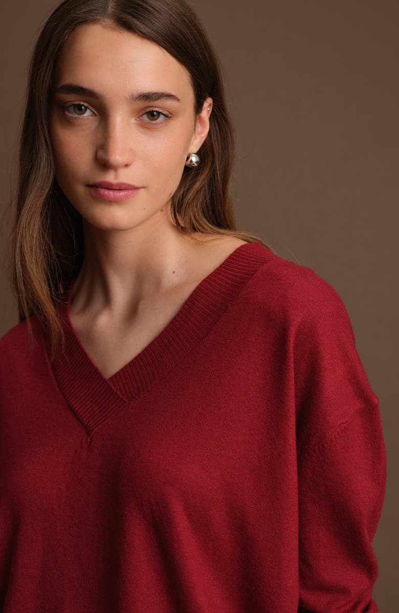 DELUC Betula V-Neck Sweater, Alternate, color, Malbec