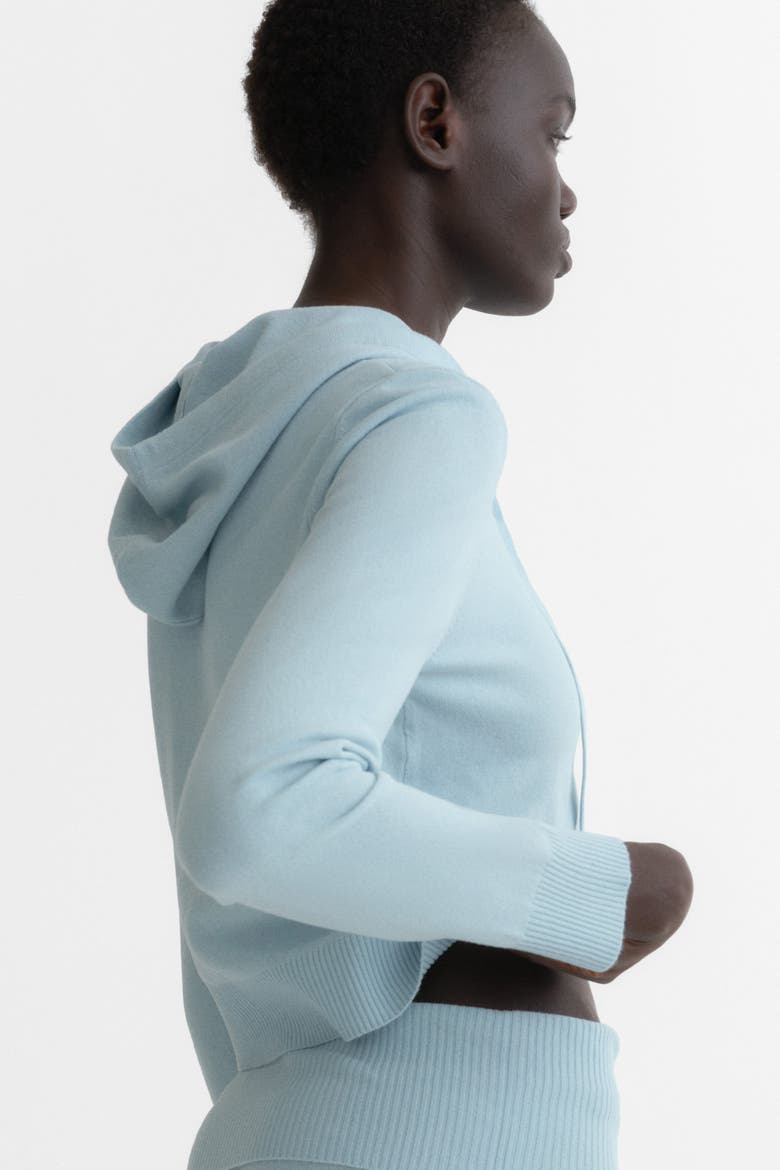 Hooded Cardigan, Alternate, color, Light blue