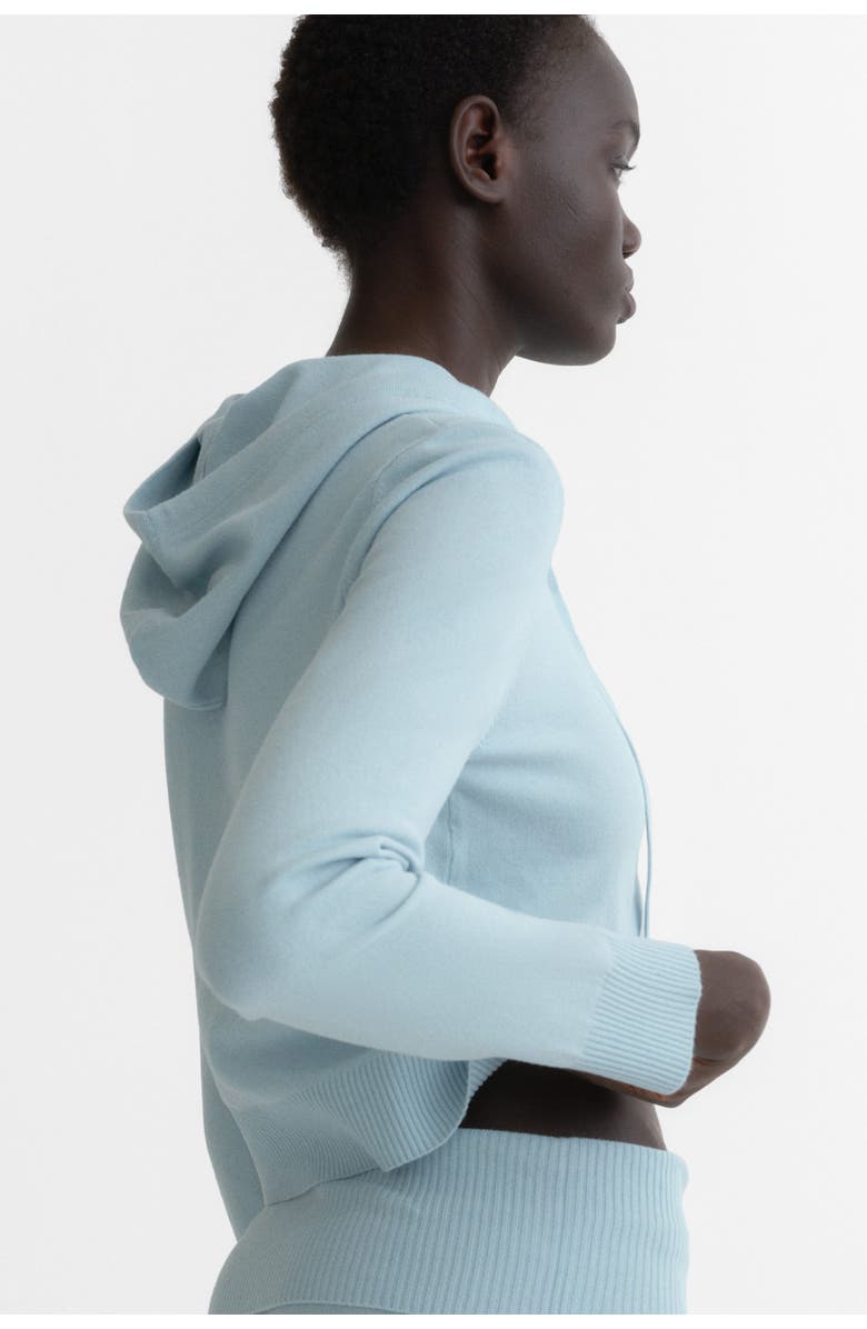 H&M Hooded Cardigan, Alternate, color, Light Blue