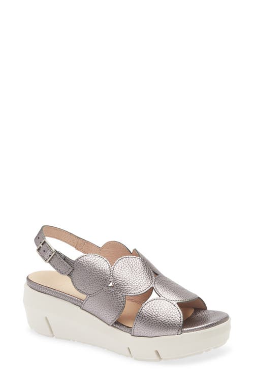 Wonders Platform Sandal In Max Plomo