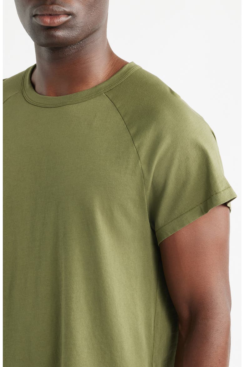 Raglan Sleeve T-Shirt, Alternate, color, OLIVE