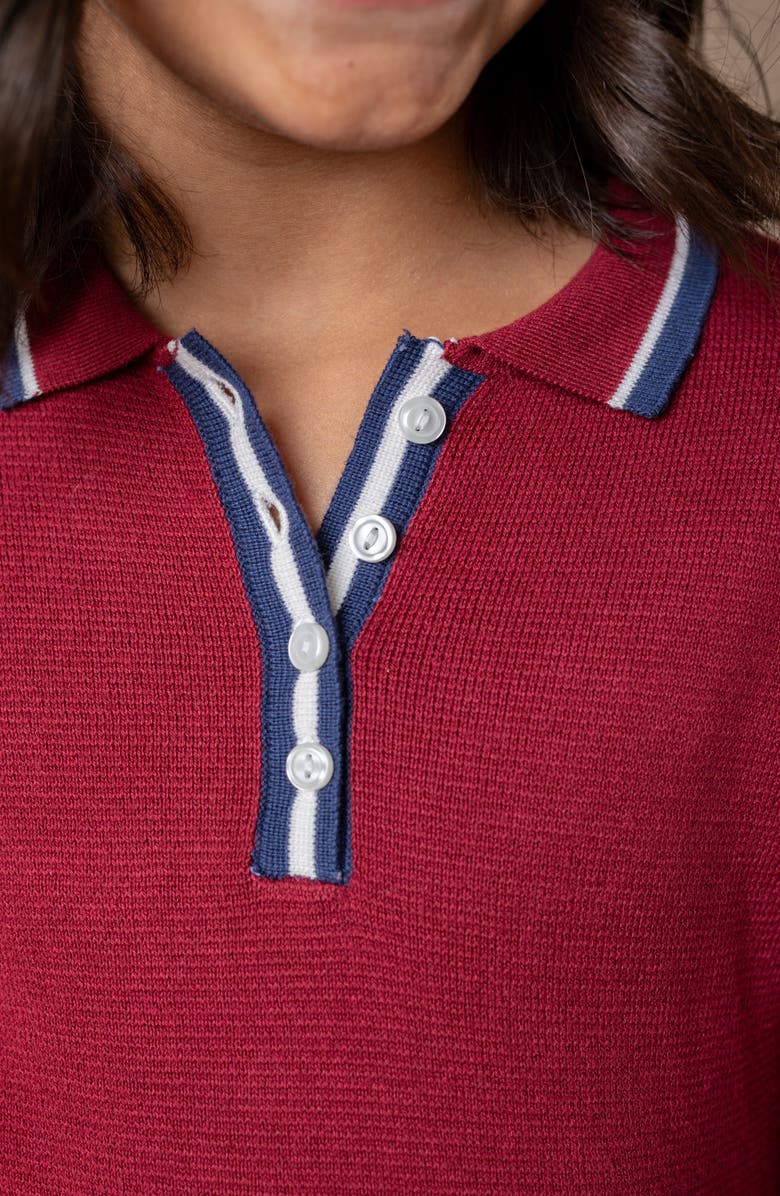 Hope & Henry Baby Girls' Organic Henley Sweater Dress, Infant, Alternate, color, Oxblood With Tipping