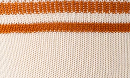 Stance Yosemite National Park Crew Socks In Brown
