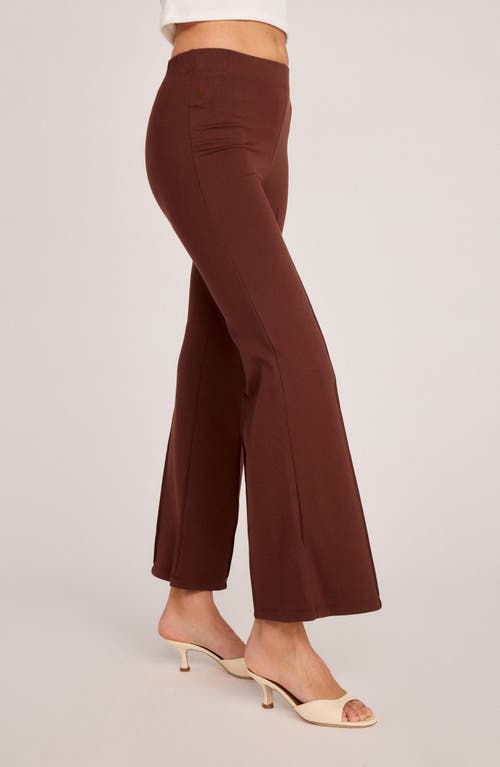 Sunday Ritual Emily Pull-on High Waist Flare Ponte Pants In Brown