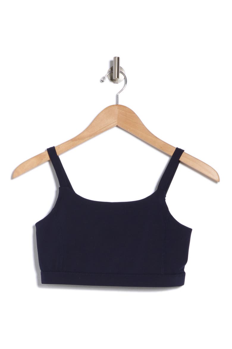 Fifer Stripe Sports Bra, Alternate, color, NIGHT SKY