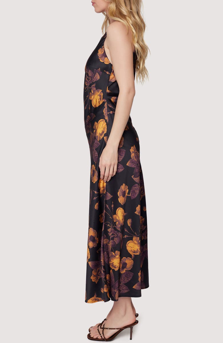 Jardin De Siene Floral Sleeveless Maxi Dress
