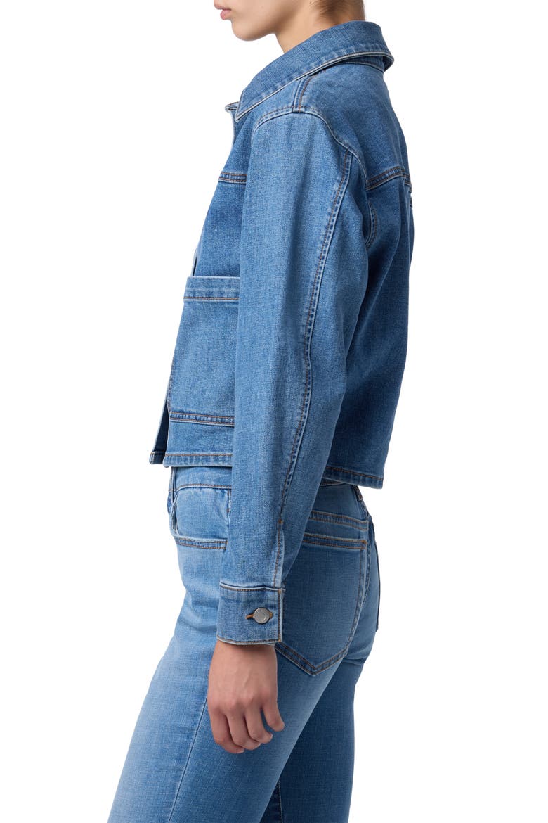 Crop Denim Jacket, Alternate, color, ANITA