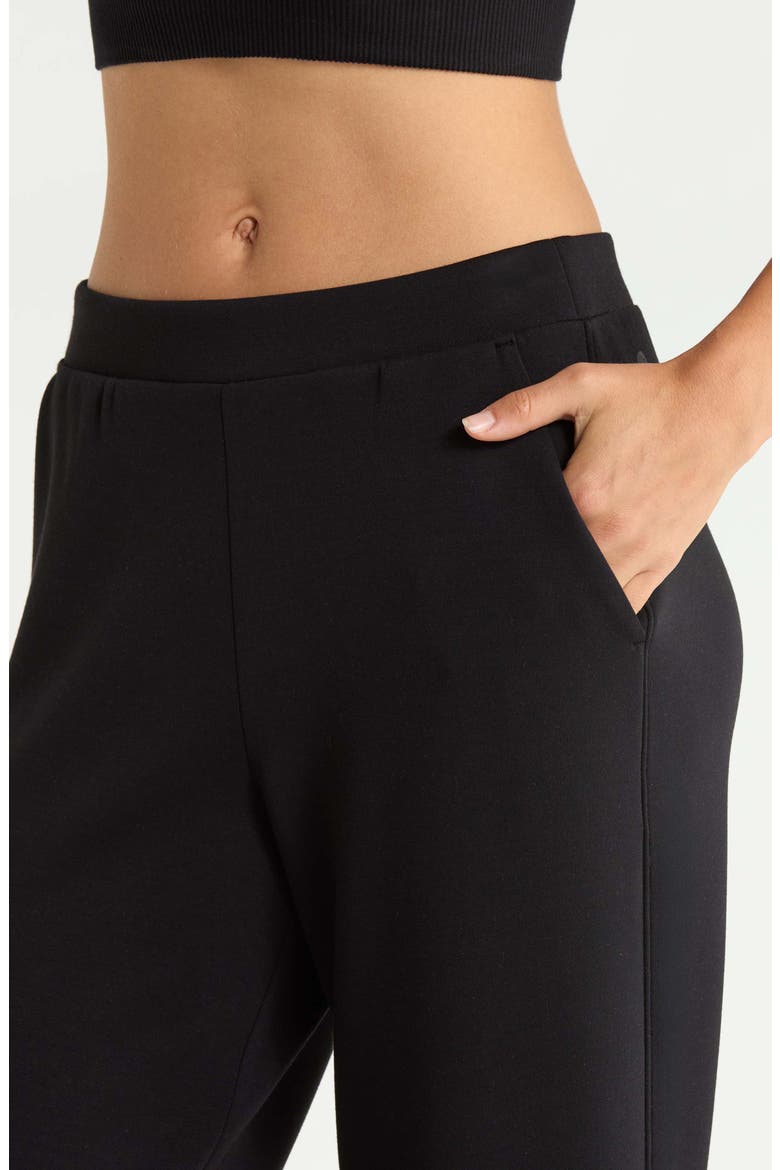 Soft Luxe Ankle Pants, Alternate, color, BLACK