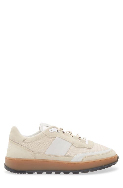 Collegium Pillar Trail Sneaker In Neutral