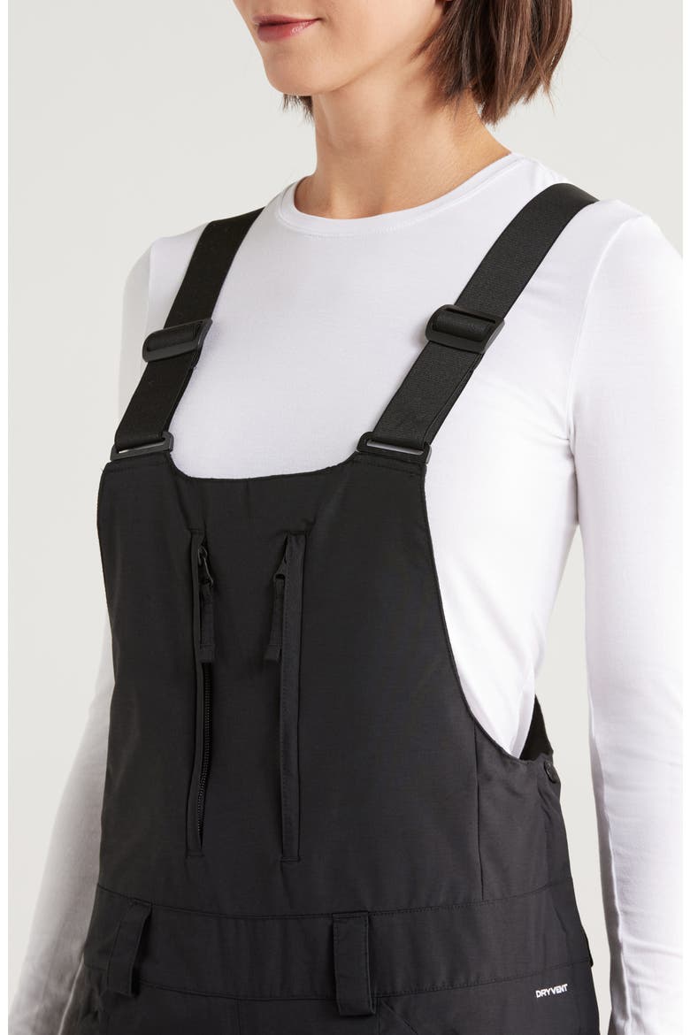 Freedom Insulated Waterproof Snow Bib Overalls, Alternate, color, TNF BLACK-NPF